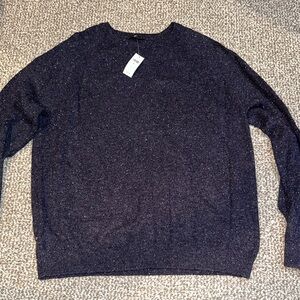 Banana Republic Men's Navy Sweater